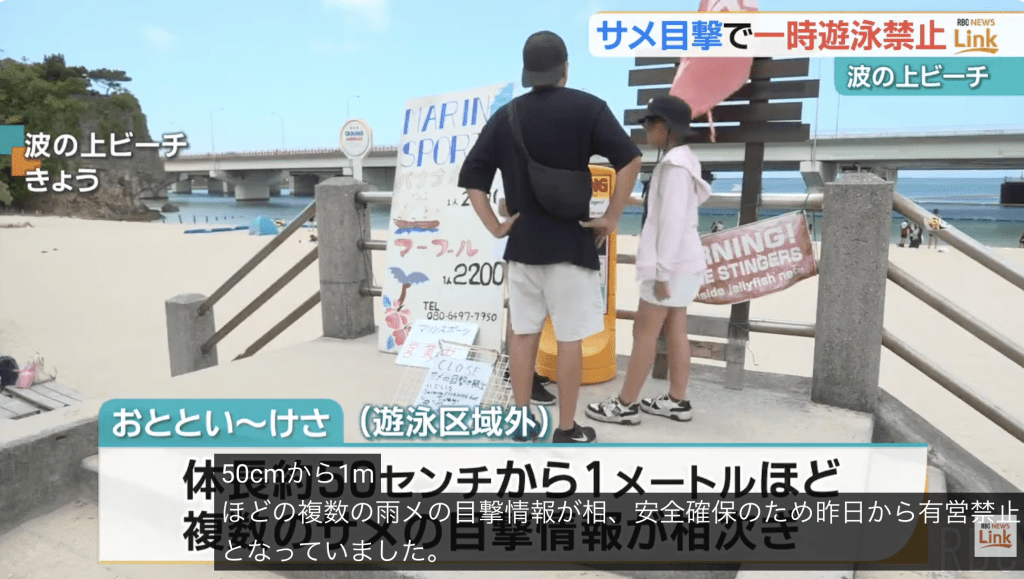 當局一度宣布全面禁止下水。