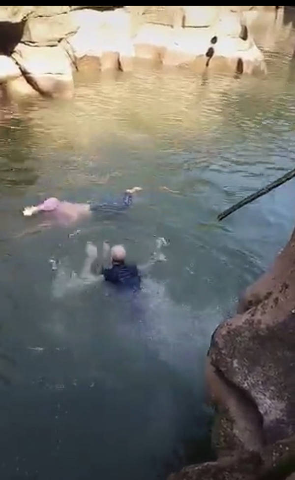 一名女子意外落水后，史云森随即下水救人。网图