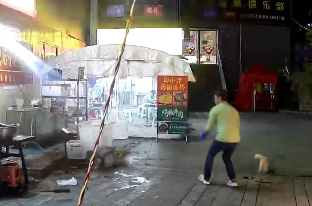 烤魚店老闆餵流浪貓期間，一個花盆突從天而降險。極目新聞