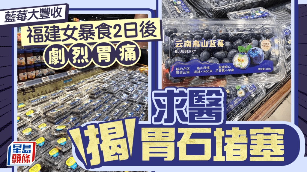 藍莓當造︱價格大插水¥9.9一盒 福建女連食2天塞死胃底