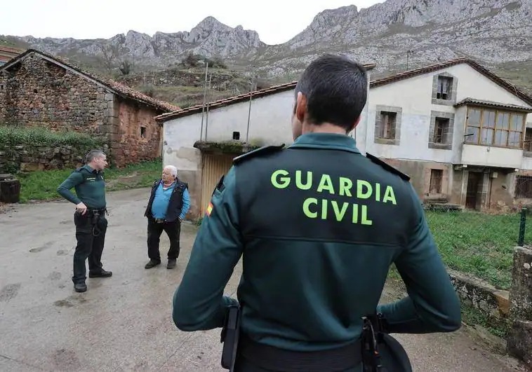 西班牙国民警卫队早前接报得悉有众多野猫被毒死。网上图片