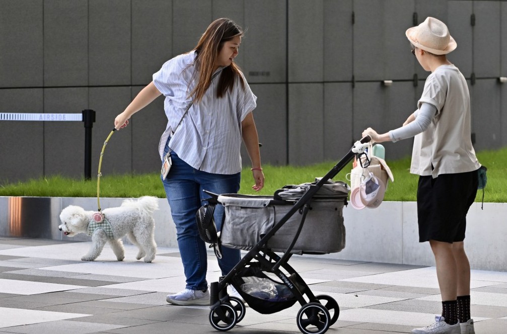 謝展寰指管控狗隻一定是狗主的責任。資料圖片