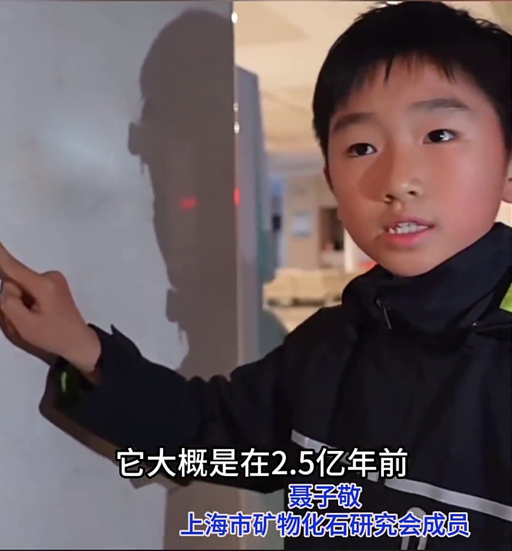 聶子敬雖是小學生，但已是上海市礦物化石研究會的一員，對化石有著深入的了解和熱愛。 看看新聞