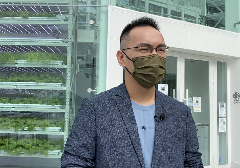「堅農圃」顧問團成員麥嘉晉。網誌圖片