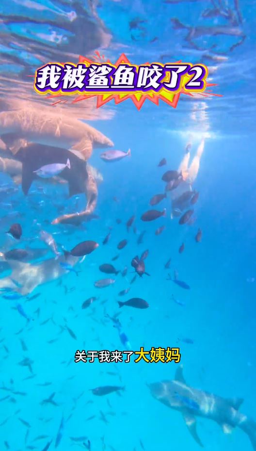 內地女遊客「大姨媽」到仍潛水，疑血腥味刺激鯊魚，導致手部被咬出血洞。抖音＠我愛藍色