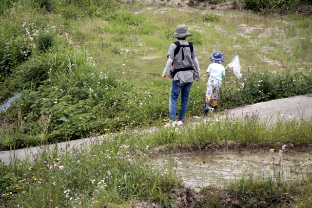 （資料圖片/圖片來源：PhotoAC）