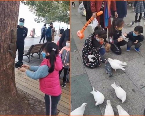 游客喂动物。网图