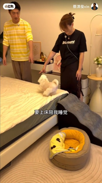 蔡淇俊在主人房床邊設置寵物專用階梯,方便愛犬上床陪伴入睡。 蔡淇俊在主人房床邊設置寵物專用階梯,方便愛犬上床陪伴入睡。