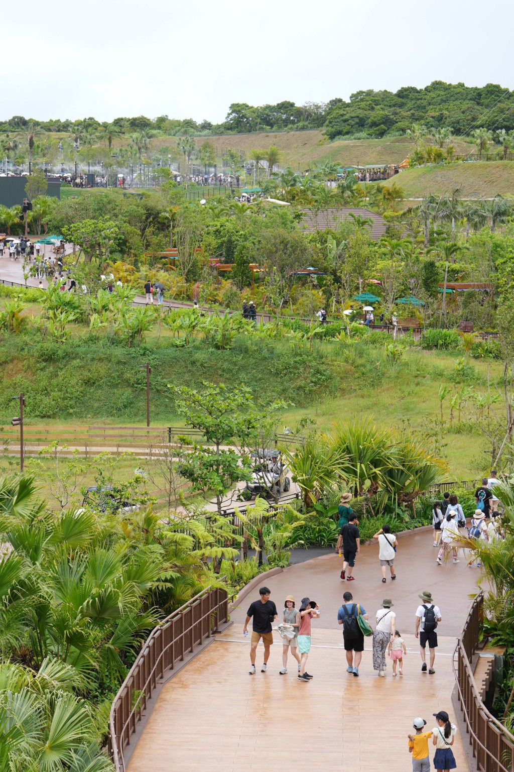 冲绳JUNGLIA丛林乐园开幕，公园很大，游客投诉基本没有遮荫歇息的地方。 法新社