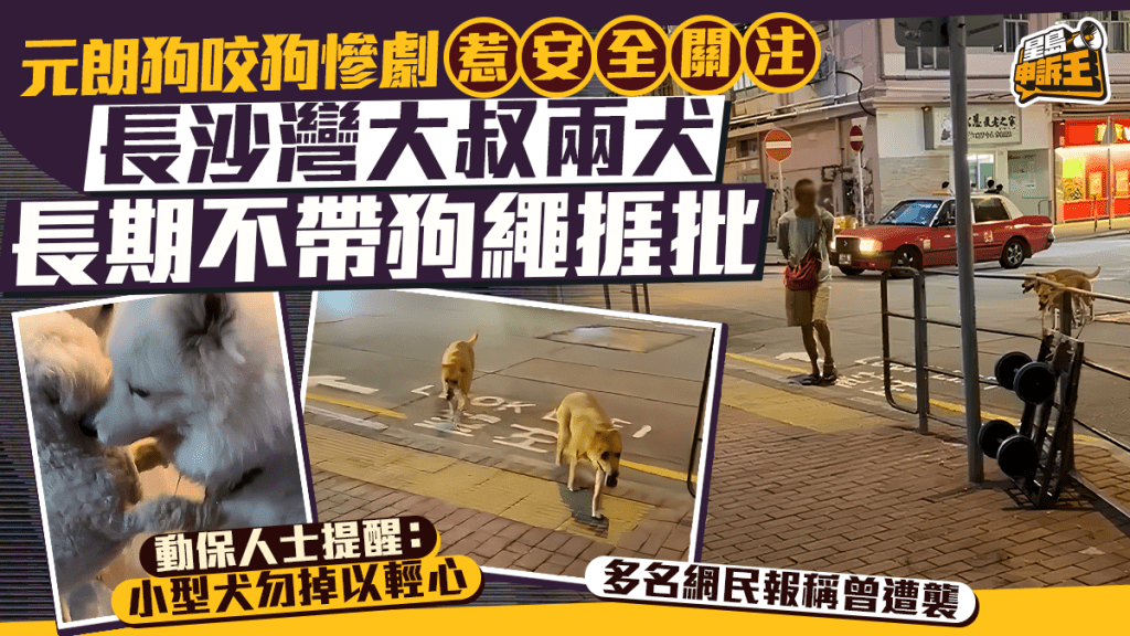 星岛申诉王 | 元朗狗咬狗惨剧 惹安全关注 长沙湾大叔放两犬 长期不带狗绳挨批 多名网民称曾遇袭