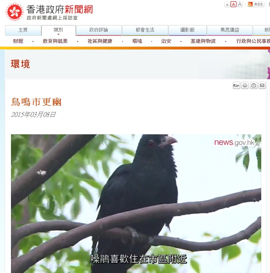 《鳥鳴市更幽》。香港政府新聞網截圖