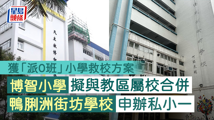 天主教博智小學將會與教區屬校合併，鴨脷洲街坊學校則會申請下學年以私營方式開辦小一班級。