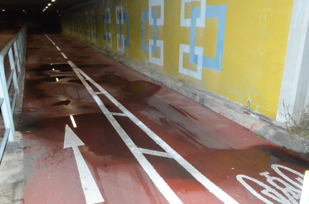 河水越過河堤，單車徑滿地水漬。