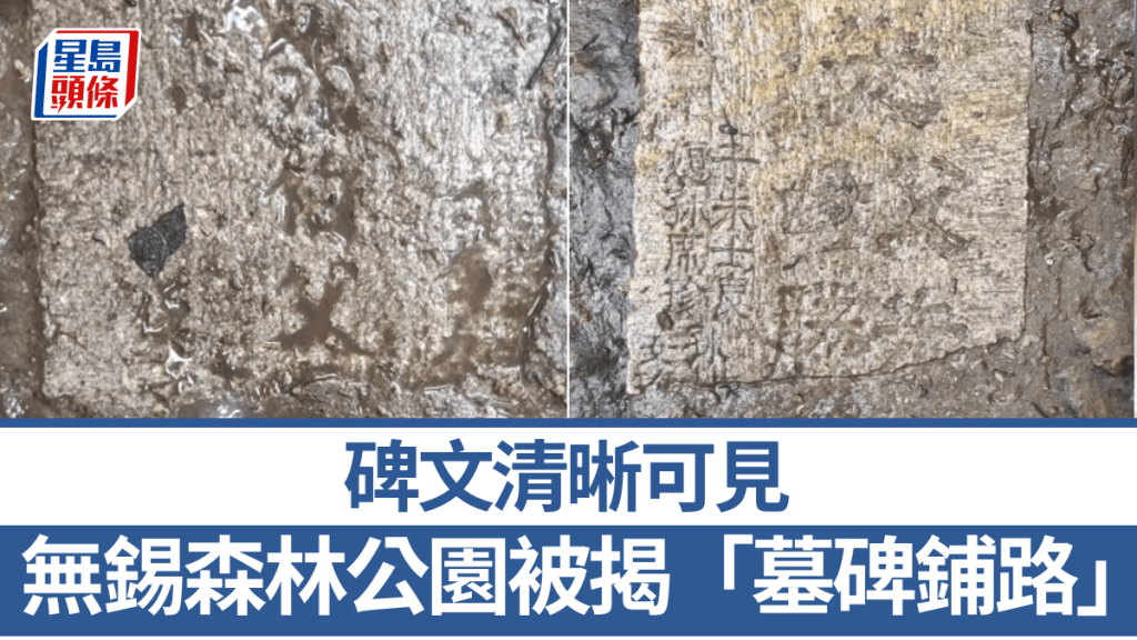 無錫森林公園被揭「墓碑鋪路」。