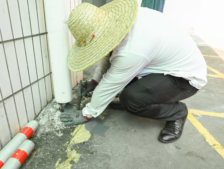廣東各地大力滅蚊防蚊,遏制基孔肯雅熱。新華社 廣東各地大力滅蚊防蚊,遏制基孔肯雅熱。新華社