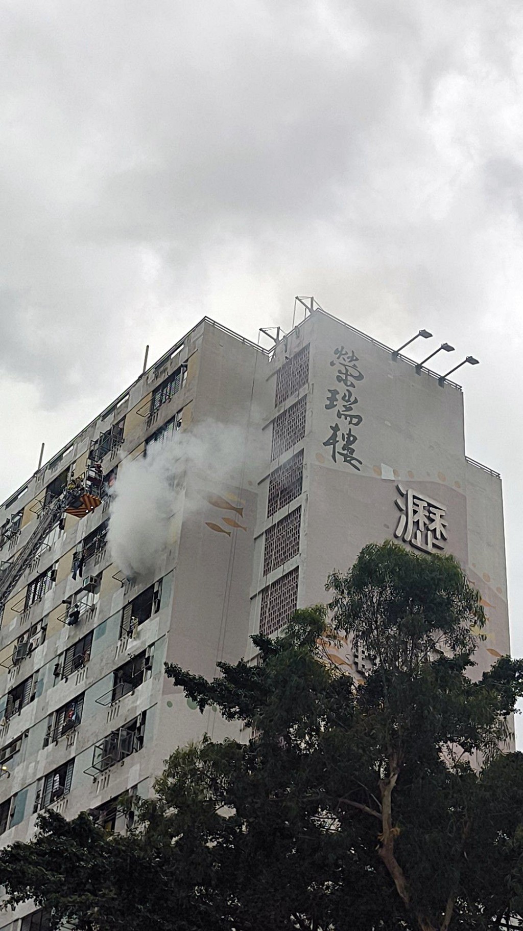 消防升起雲梯灌救。fb：沙田之友