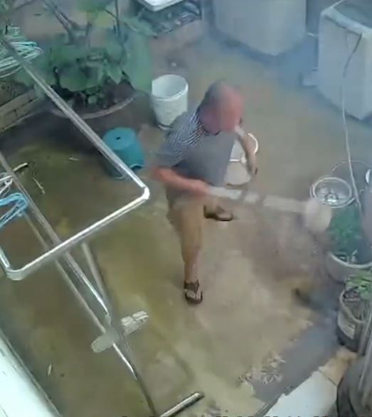 妇人在丈夫面前点燃其种植多年的“九尾狐”，火势一发不可收拾。