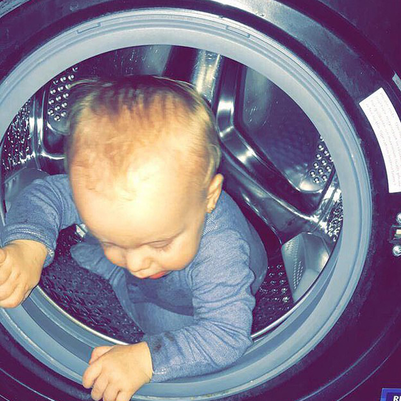Jaxon 搗蛋罪證:跑進洗手機。網上圖片