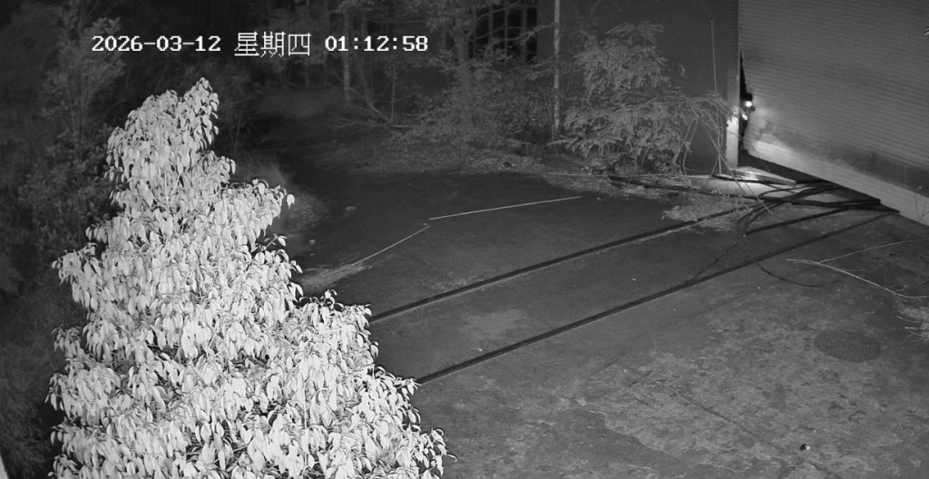 小偷聲到鬼笑聲後嚇得原路逃走。微博