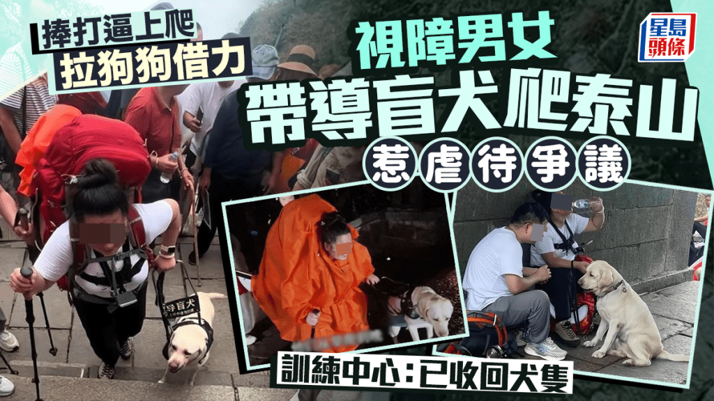 盲女帶導盲犬爬泰山惹虐待爭議。