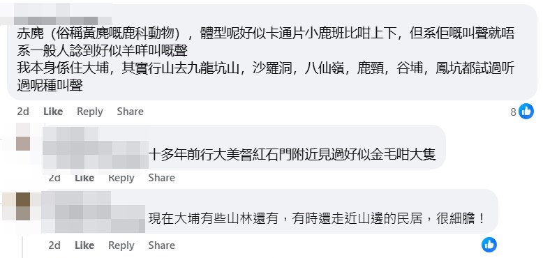 facebook截圖(資料來源:Vincent Lam@facebook香港自然生態論壇 HKWildlife.net) facebook截圖(資料來源:Vincent Lam@facebook香港自然生態論壇 HKWildlife.net)