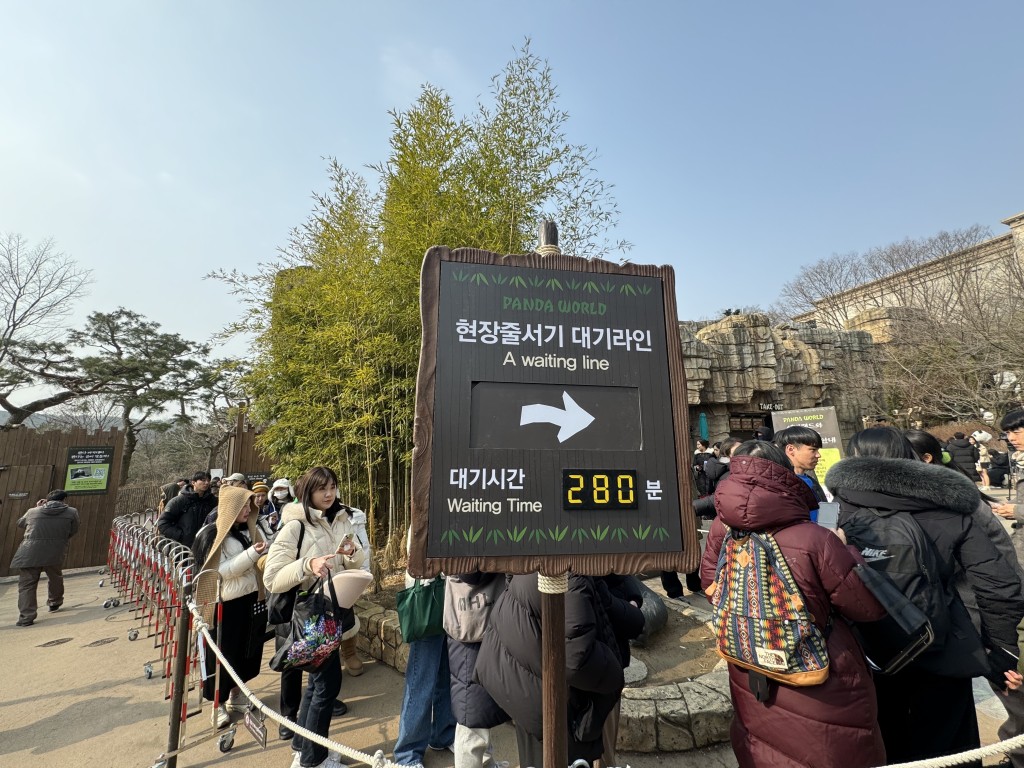 大批韓國民眾到動物園，與「福寶」道別。（新華社）