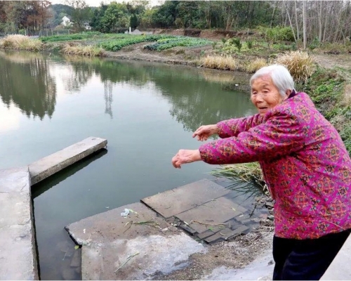 江蘇84歲老婦奮不顧身跳河救人。網圖