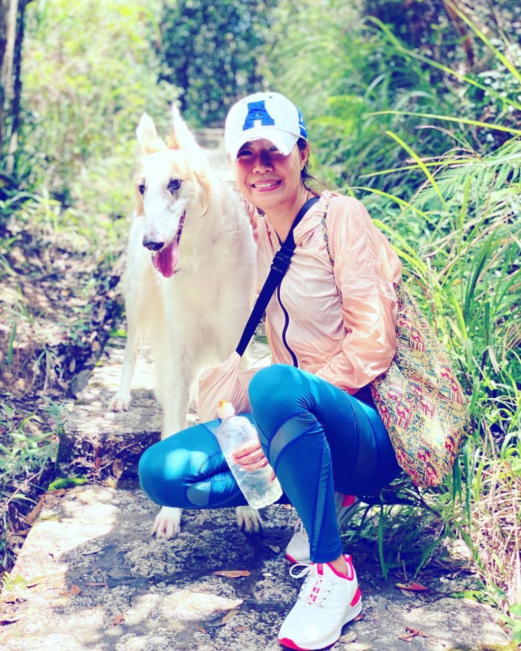 宋芝龄对波索猎犬优雅高贵的外表一见钟情。