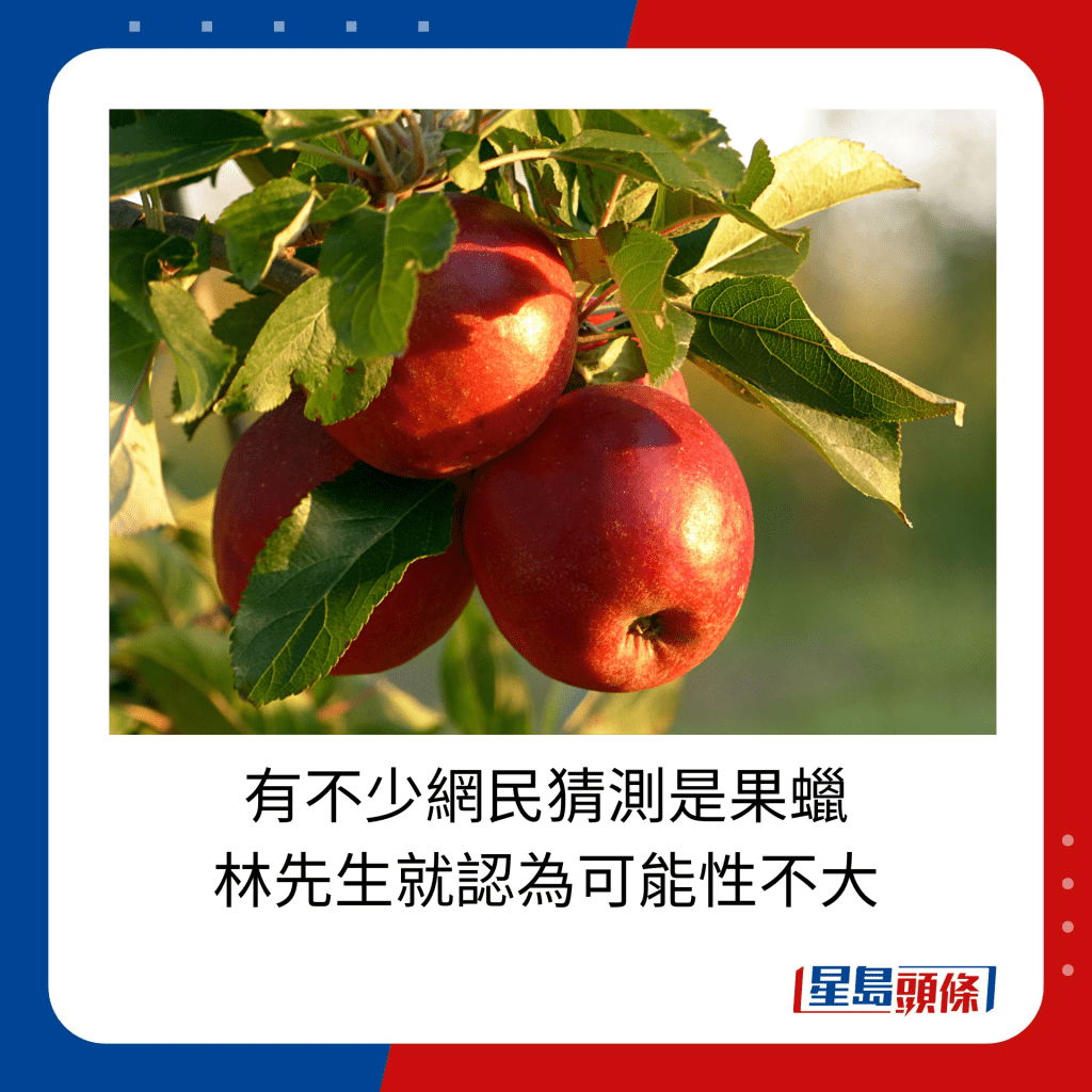 有不少網民猜測是果蠟，林先生就認為可能性不大。