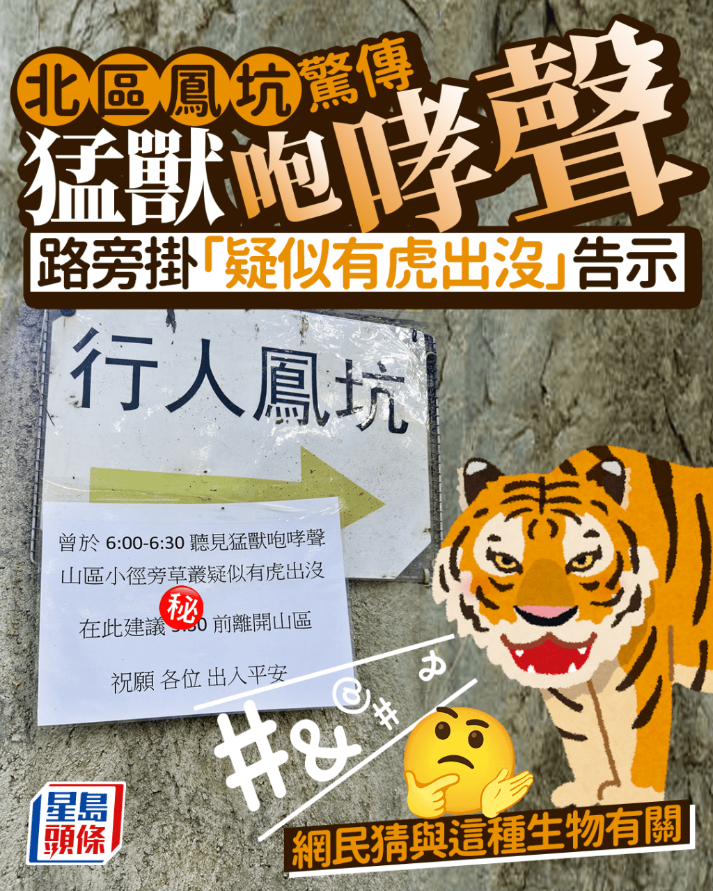  Edit media 北區鳳坑驚傳猛獸咆哮聲 路旁掛「疑似有虎出沒」告示 網民猜與這種生物有關 Edit media 北區鳳坑驚傳猛獸咆哮聲 路旁掛「疑似有虎出沒」告示 網民猜與這種生物有關 