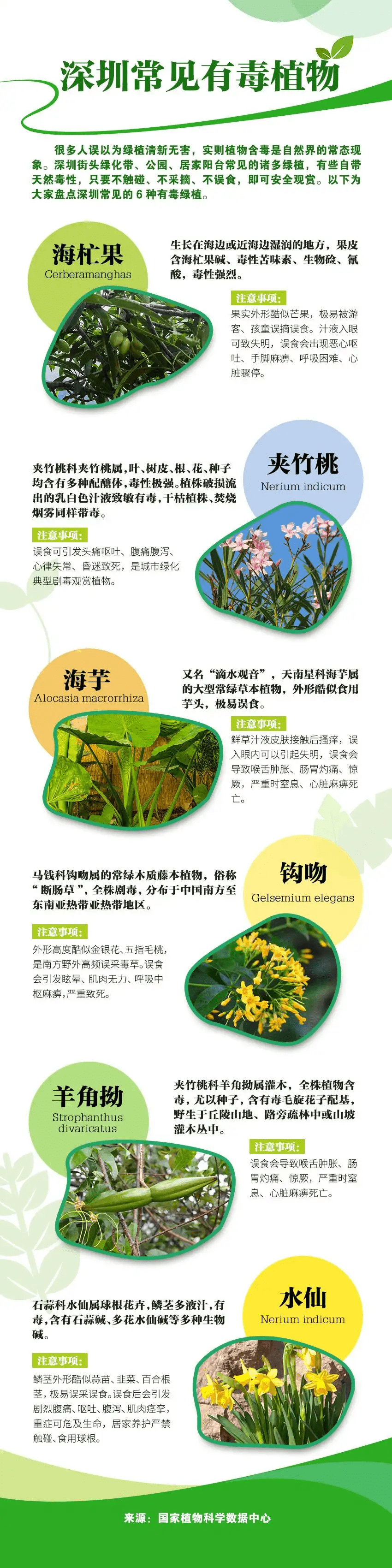 深圳常见有毒植物。