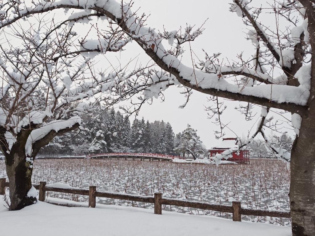 日本青森縣受大雪侵襲，部份地區積雪達3米。X