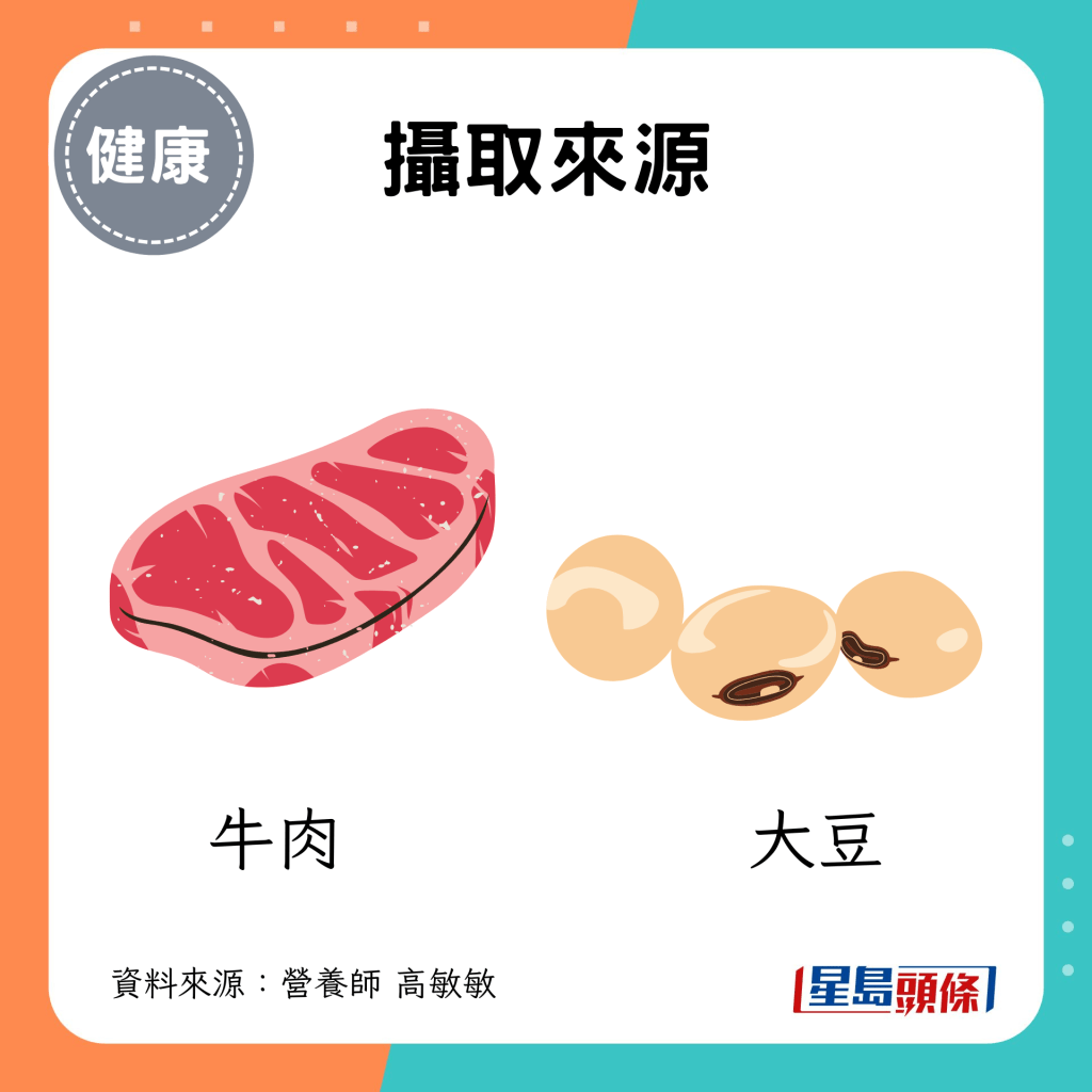 攝取來源：牛肉、大豆