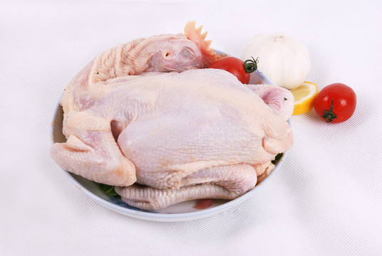 雞富含有助人體抗病的蛋白質。