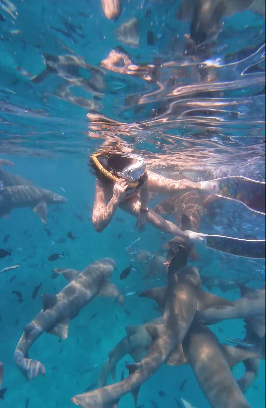 內地女遊客「大姨媽」到仍潛水，疑血腥味刺激鯊魚，導致手部被咬出血洞。抖音＠我愛藍色