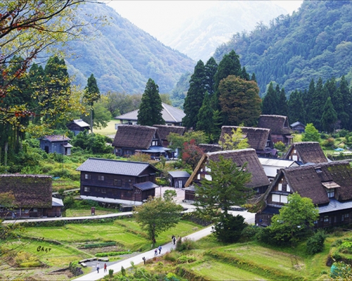富山县相仓合掌村正面临灭村危机。网图