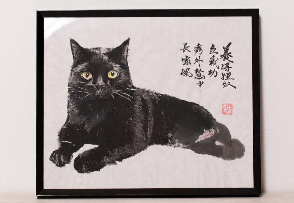 人见人爱的小黑猫公关实Q。