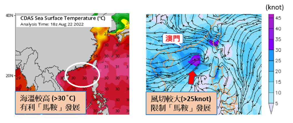  8月23日海溫分佈圖來源：NCEP CDAS (Tropical Tidbits) 、8月24日早上8時250~850hpa垂直風切預報圖 (右)。澳門氣象局圖片