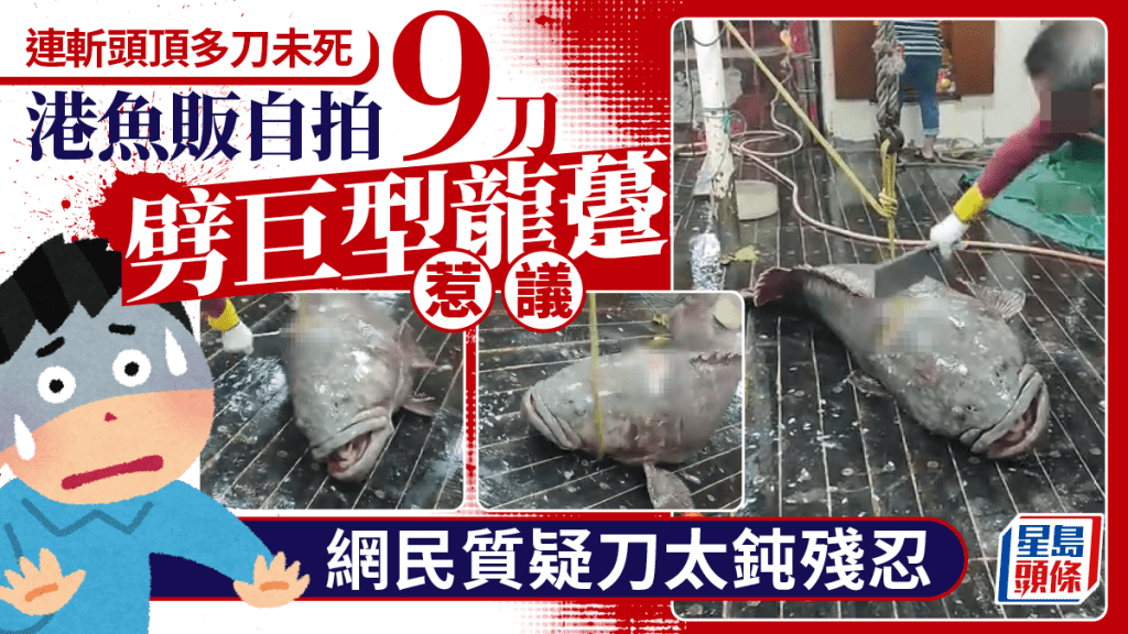 港魚販自拍9刀劈巨型龍躉惹議 連斬頭頂多刀未死 網民質疑刀太鈍殘忍｜Juicy叮