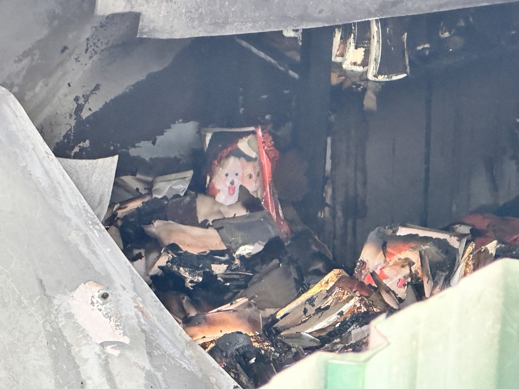 火场内有宠物用品被烧毁，包括有猫狗相片。