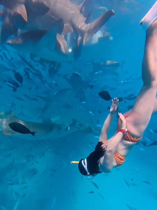 內地女遊客「大姨媽」到仍潛水，疑血腥味刺激鯊魚，導致手部被咬出血洞。抖音＠我愛藍色
