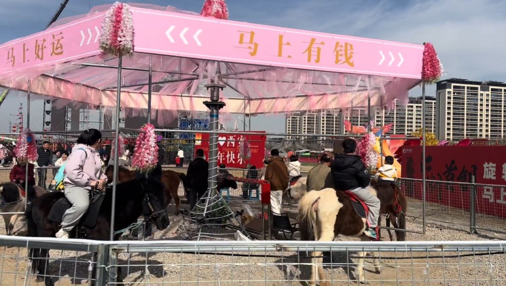 西安有遊樂場推出「旋轉活馬」項目引起虐畜爭論。抖音@大虎妞吖