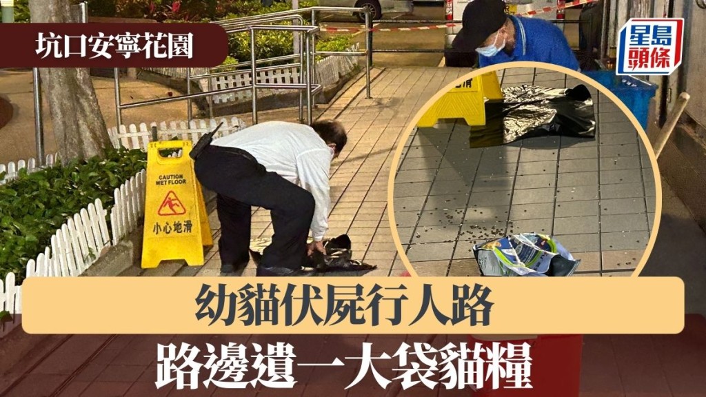 坑口安寧花園幼貓伏屍行人路 旁邊遺一大袋貓糧
