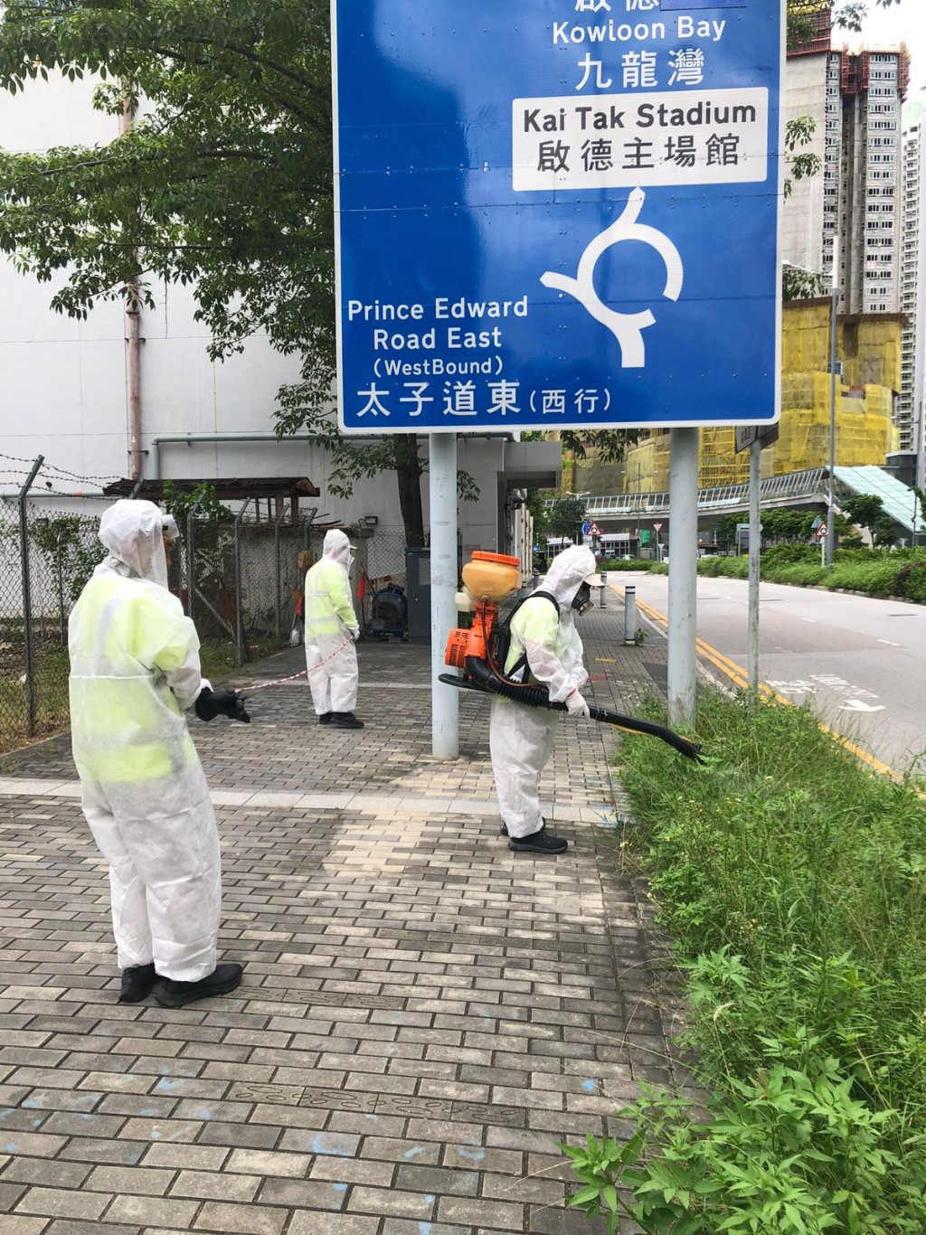 食環署承辦商人員在啟德北以霧化處理方式殺滅成蚊。