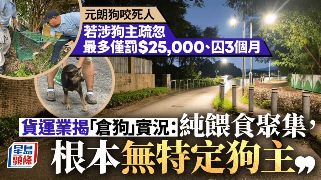 元朗狗咬死人｜若涉狗主最多僅罰$25,000 漁護署稱捕捉行動繼續 貨運業界揭「倉狗」實況