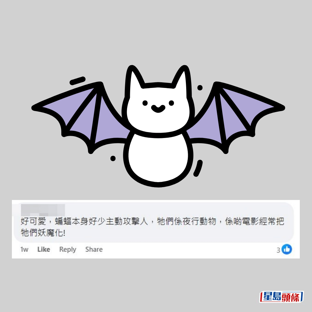 網民：電影經常把蝙蝠妖魔化!。fb「香港自然生態論壇」截圖