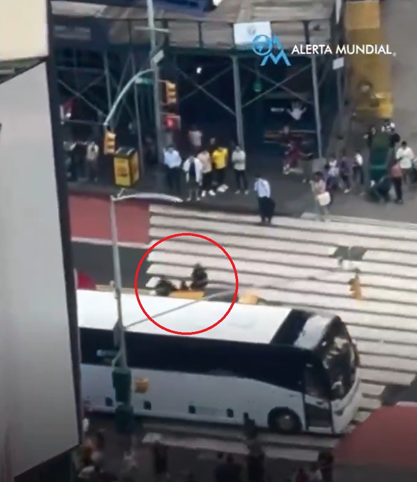 疑似枪手被拘捕。noticias_msm@X 疑似枪手被拘捕。noticias_msm@X