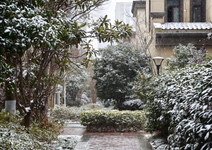 上海20日開始出現降雪天氣，更罕見地出現積雪。 微博@曾子言