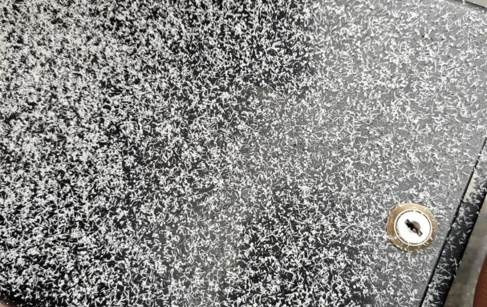 “济南下暴雨梨花针了”成网上热话。