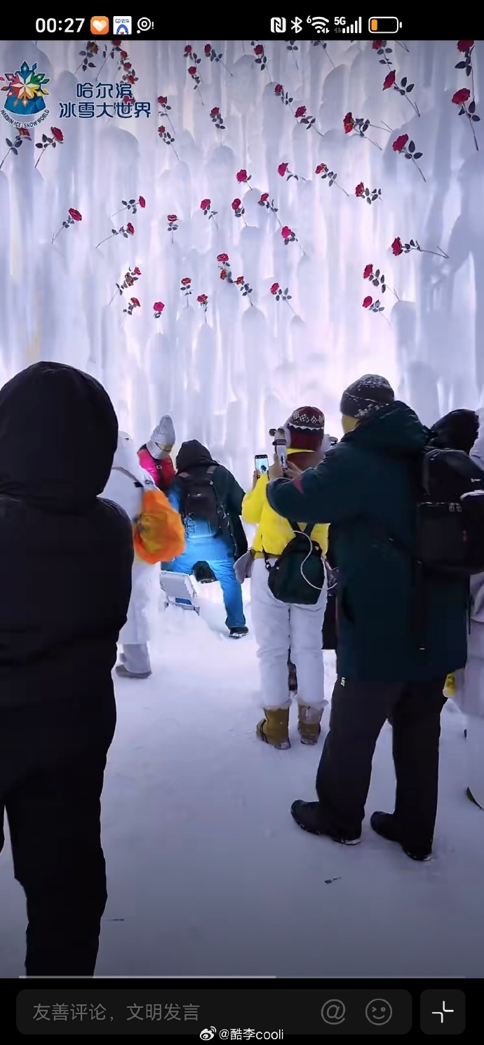 哈爾濱冰雪大世界玫瑰冰瀑成打卡熱點。 